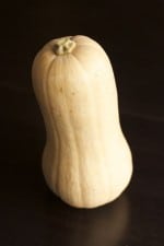 Courge butternut