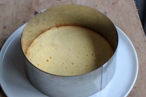 Biscuit cuit au fond du moule pour fraisier Thermomix