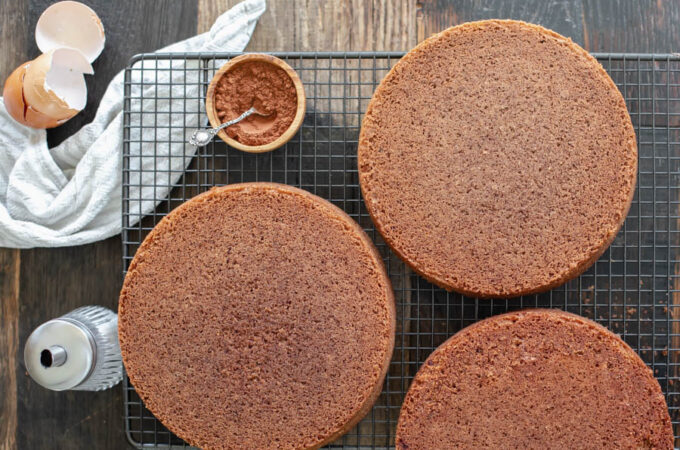 Sponge cake au cacao au Thermomix