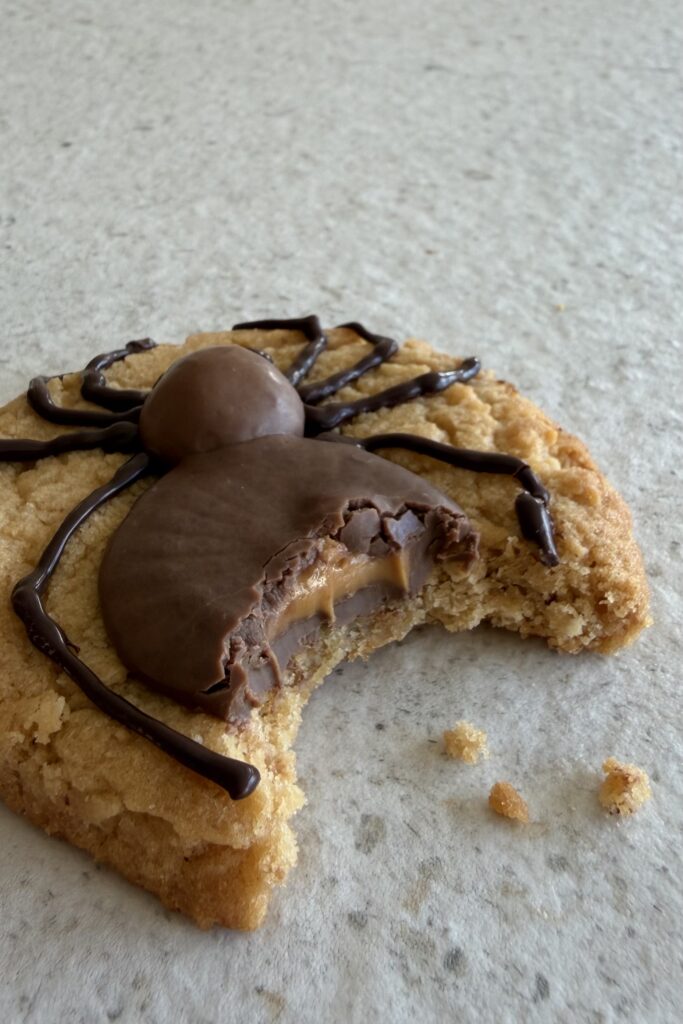 Cookie araignée croqué